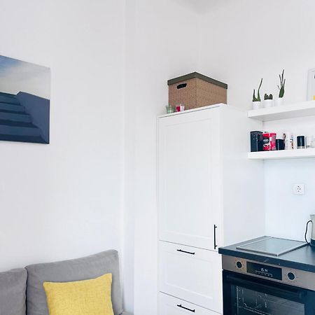 You Will Love It, In Vracar Belgrado Buitenkant foto